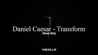 Daniel Caesar - Transform (feat. Charlotte Day Wilson) (Acapella/Vocals Only)