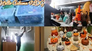 Hello Autumn VLOG