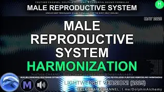 🧬 OPTIMIZE YOUR REPRODUCTIVE SYSTEM! Subliminal Frequencies for 100% Men&rsquo;s Wellness 🌌✨