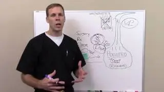 The Importance of Going Upstream to Look for the Cause of Your Health Issues