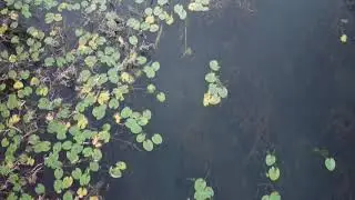 South Concho River, Texas