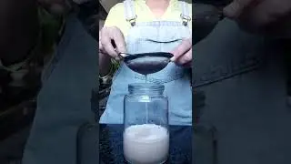 How to make natural insect repellent- garden. 2 ingredients- water💧 & garlic🧄