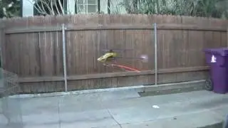 Honey Bee RC Helicopter. Showing the stability of a Fixed Pitch r/c heli.