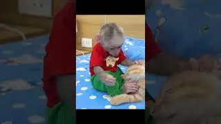 😍😍 #cat #catshorts #monkeyvideo #monkey#приколысживотными #приколы