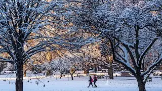 Happy Holidays from the Office of Diversity and Inclusion!