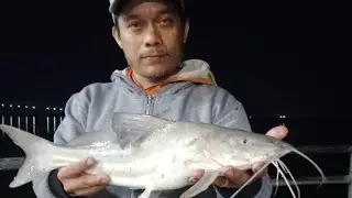 PESCA en la Costanera, Corrientes capital, diferentes especies 🐟🎣