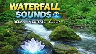 LIVE Relaxing Waterfall Sounds 🌊 | Calm Mind, Sleep, Focus