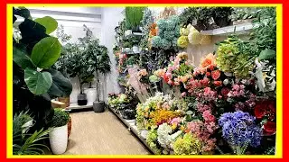 বাড়ির যে কোনও জিনিস কিনতে আমেরিকায় সবাই কেন এই স্টোরেই যায়?