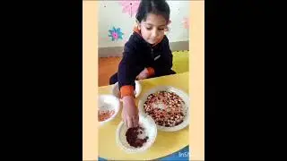 NURSERY SORTING OF PULSES
