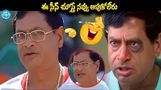 Ms Narayana Back To Back Super Hit Comedy Scenes Telugu | Telugu Comedy Scenes | Comedy