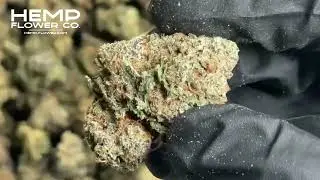 Cadillac Rainbow THCa Indoor Flower by Hemp-Flower Co.
