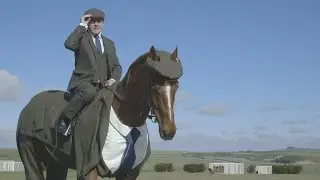 The horse with a tweed three-piece suit