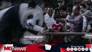 Panda Ini Hanya Pilih Buluh Dari Rembau, Yang Permatang Pauh Dia Tak Mahu - Seloroh PMX