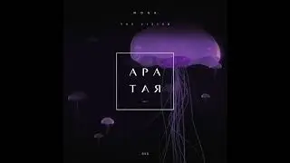 Monk - Transition (Original Mix)