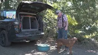 Loading your dog into a vehicle part 1