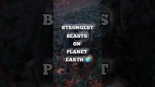 STRONGEST BEASTS ON PLANET EARTH EVER #top10 #animals #shorts