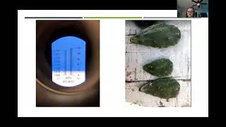Salt Tolerant Plants with Salt Concentrated Soil- Science Fair Video