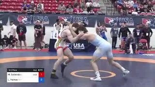 74 Kg 3rd Place - Michael Caliendo, Illinois Vs Levi Haines, M2 Training Center 6879