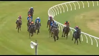 RACE 5 ASCOT PARK - NEW ZEALAND -  22 JAN 2026 A but of chaotic  due to loose horse 🐎 