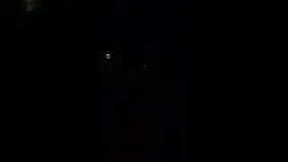 Great Horned Owl hooting at night