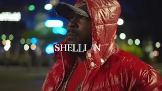 Shelliano - Excellence
