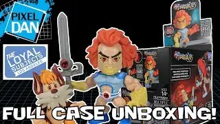 Loyal Subjects ThunderCats Action Vinyls Figures Blind Box Unboxing & Video Review