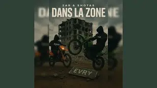 Dans la zone (feat. Shotas)