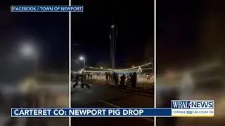 Pickle Drop, Flea Drop, Blueberry Drop: A look at North Carolina's New Year's Eve celebrations