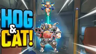 Jetpack Cat and Hog is NOW HERE! | Overwatch