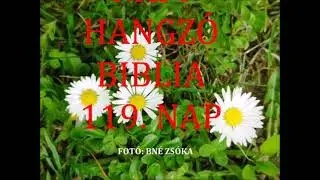 NAPI HANGZ&Oacute; BIBLIA 04.29. VISZ&Aacute;LY ABIMELEK &Eacute;S SIKEM V&Aacute;ROSA K&Ouml;Z&Ouml;TT
