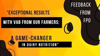 Boost Milk Yield & Quality with VAB: Farmer Producer Organization's Success Story|Dairy Feed Review