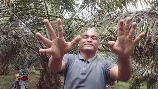 Cuma Modal Bubu Bambu, Lihat Apa yang Kudapat di Sungai Ini!