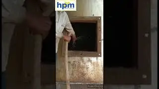 Boiler chimney cleaning and safety valve changing