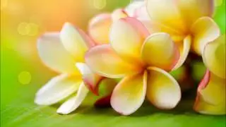 TAHITI ACADEMY VOL 1 - Que Nous Sauvions L'amour; C'est Trop!! [Medley Tahiti Zouk]