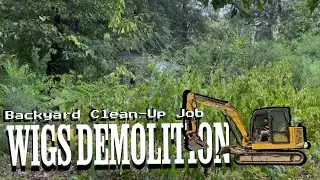 Wigs Demolition: Backyard Clean-Up Job