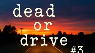 【LoFi】dead or drive #3 Ash and Amber