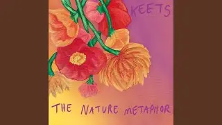 The Nature Metaphor