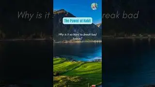 Why is it so hard to break bad habits?