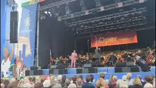 Franz Leh&agrave;r- Dein ist mein ganzes Herz (performed by Theo Lebow)