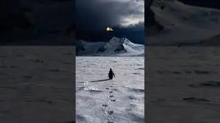 single Life is Best life
