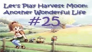 Let's Play Harvest Moon: Another Wonderful Life Part 25 - Into the pan