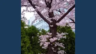 폰에 다 있어 (힙합 버전)