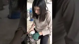 Trending Clip In China, interesting (p1) #shorts #hmdchannel