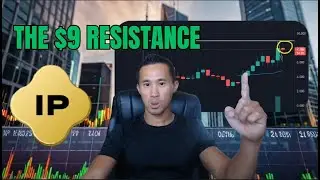 Will Story Protocol IP Token Set Off a New Crypto Wave?