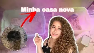 Alojamento para hamster com caixa organizadora