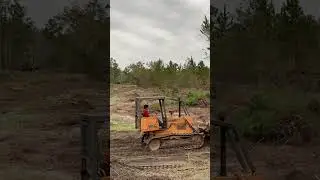 Clearing land in fast forward time lapse ! #landclearing