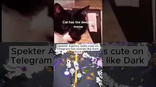 Spekter Agency looks cute on Telegram but sounds like cat Dark souls #memes #gaming