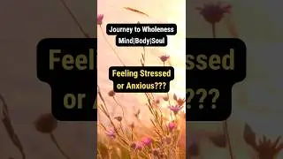 Journey to Wholeness: Mind|Body|Soul - #1