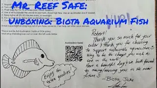 Unboxing: Biota Aquarium Fish & Coral