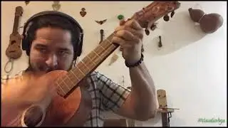 Prueba de sonido /jarana 3era Bajo Claudio Vega  by Rodrigo Arboleyda instruments !
